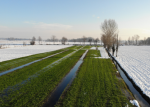 Italy - Milano WatHer Project