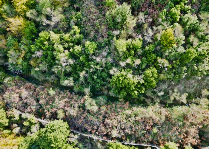 Albania - Selenica Interreg Euro_MED WatHer Project