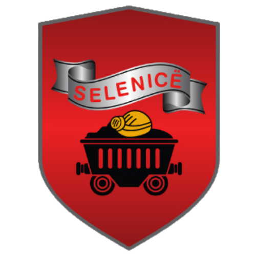 Selenica Municipality logo Selenica Municipality logo