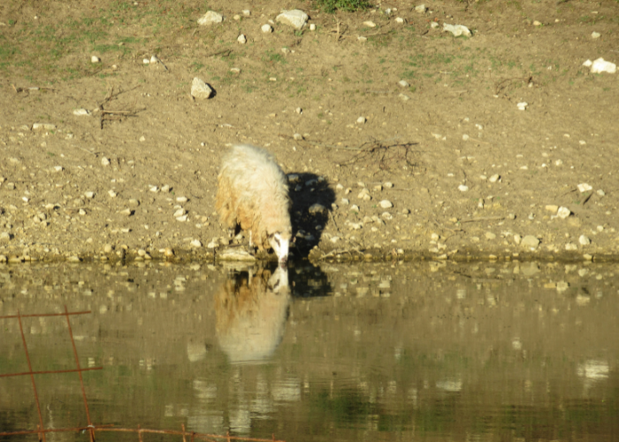 Discovering Water Heritage at Fonte Filipe 4