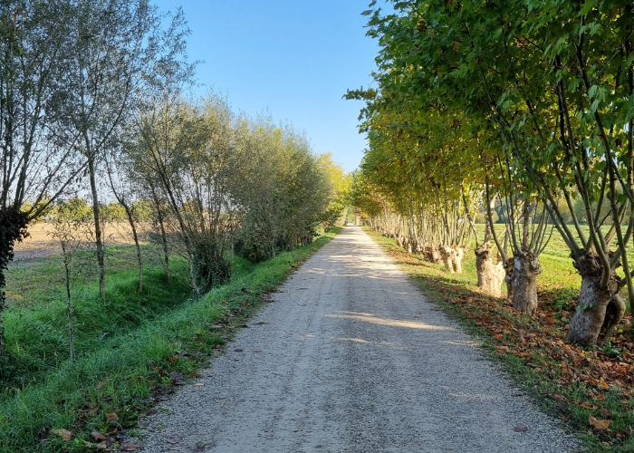 Italy - Padua Interreg Euro_MED WatHer Project