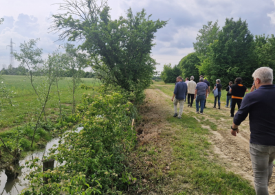 Ecological Walk in the Roman Centuriation Landscape of Padua
