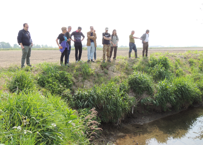 Exploring Water Heritage Systems in the Ticino River Basin 5