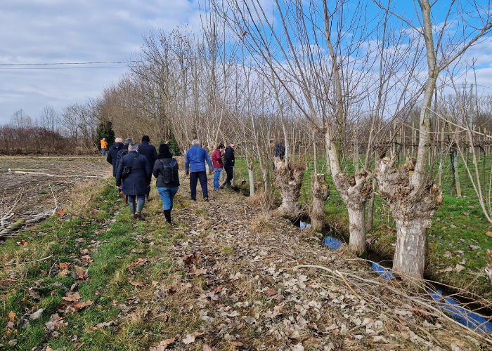 Field visit to Municipality of Mirano's water ditches