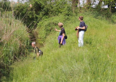 Exploring Water Heritage Systems in the Ticino River Basin 8