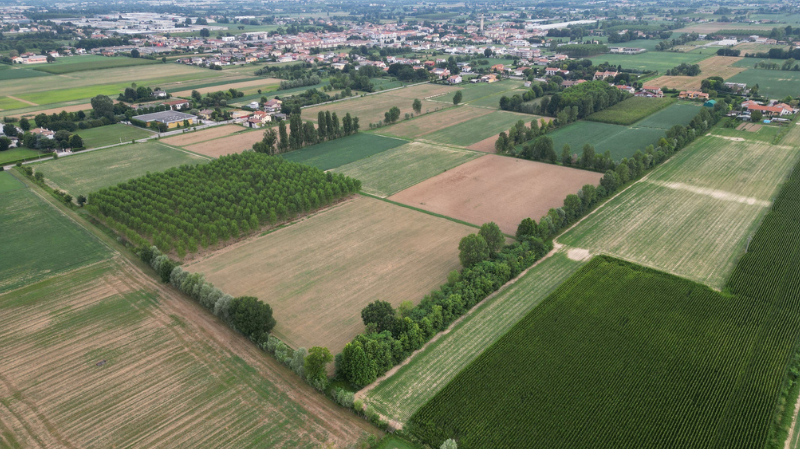 Italy - Water ditches and hedges Padua's centuriation