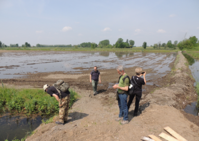Exploring Water Heritage Systems in the Ticino River Basin 9