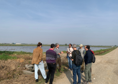 Exploring Water Heritage Systems in the Ticino River Basin 11