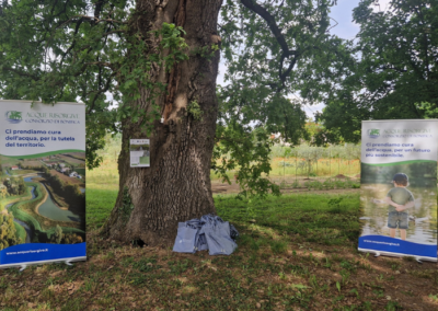 Ecological Walk in the Roman Centuriation Landscape of Padua