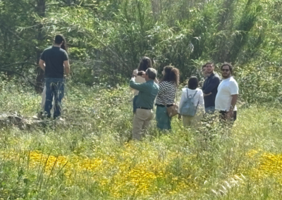 Exploring Dierona’s Water Heritage