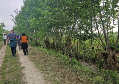 Ecological Walk in the Roman Centuriation Landscape of Padua