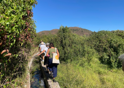 Discovering Water Heritage at Fonte Filipe