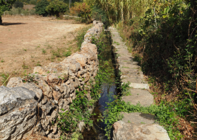Fonte Filipe, the water that brings us together
