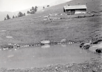 Kriška planina 1961. Photo by Anka Novak