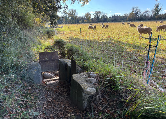 Provence - France Interreg Euro-MED WatHer project