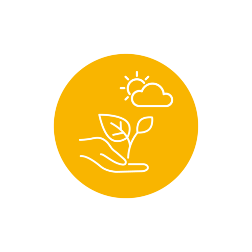 Field Visit to Water Canals 1