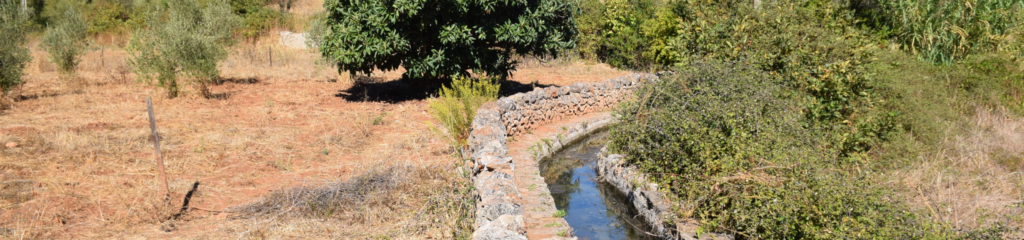 Lectures in Portugal