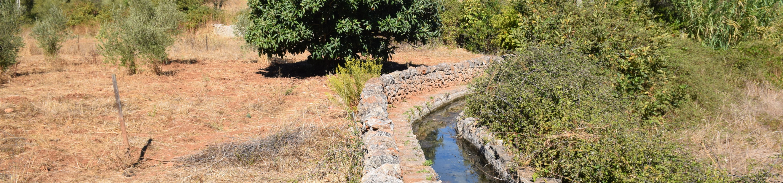 Lectures in Portugal