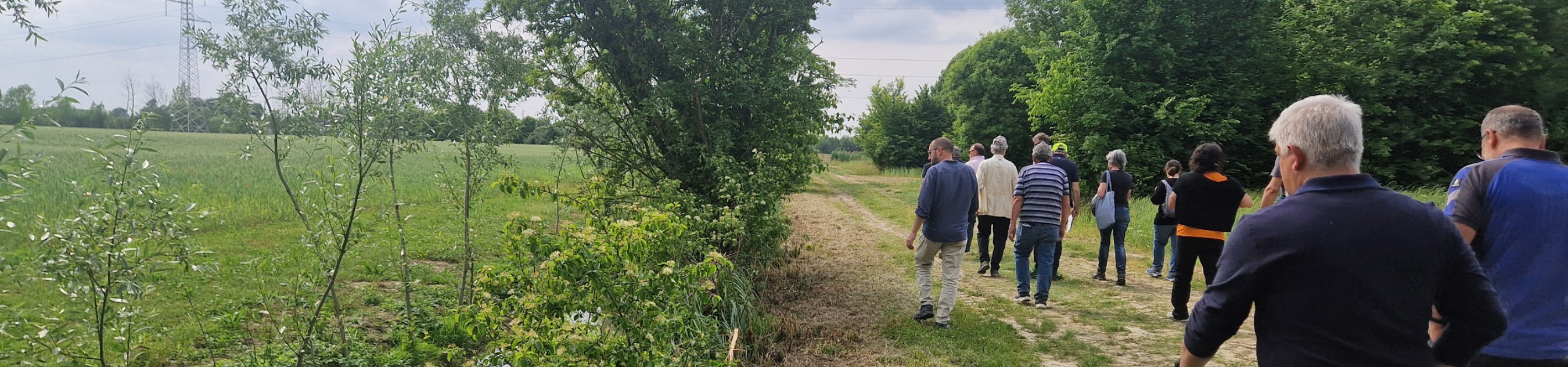 Ecological Walk in the Roman Centuriation Landscape of Padua
