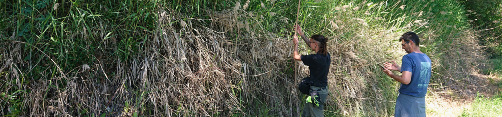 Biodiversity Monitoring Begins in Benamaurel
