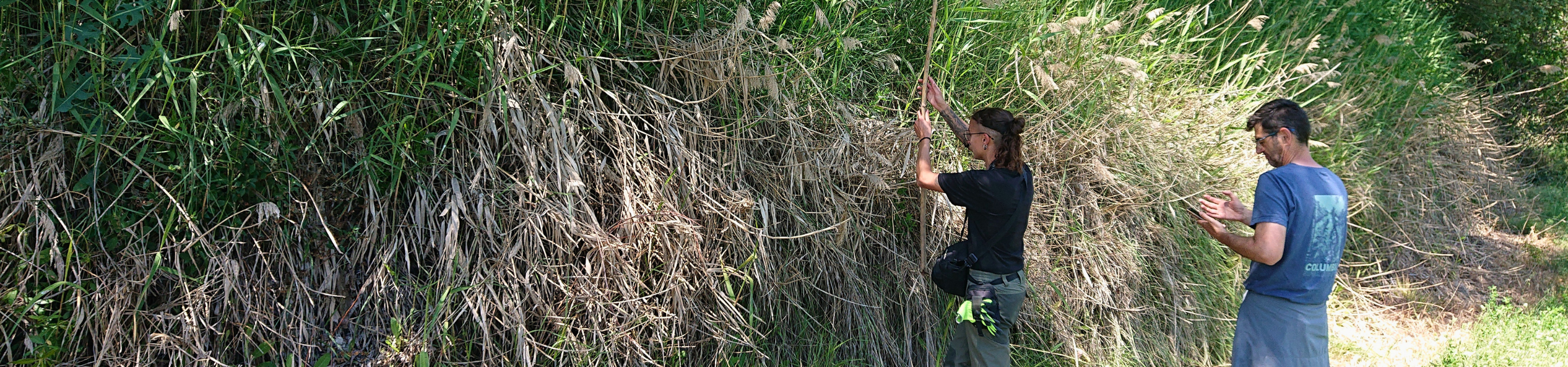 Biodiversity Monitoring Begins in Benamaurel