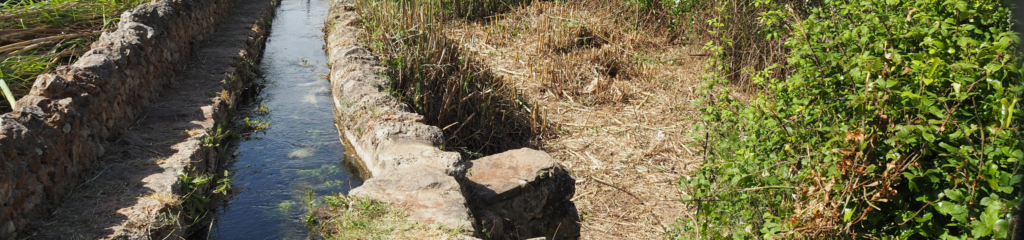 Fonte Filipe, the water that brings us